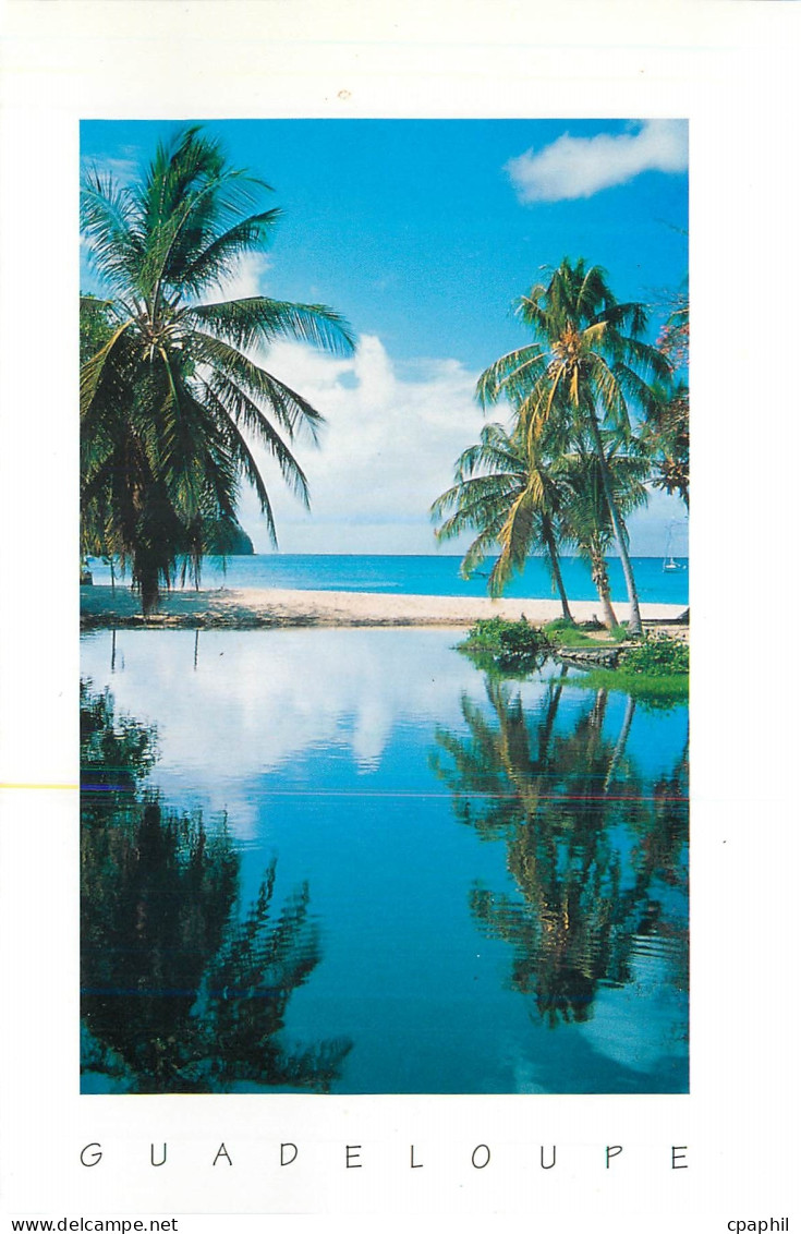 CPM Guadeloupe reflet