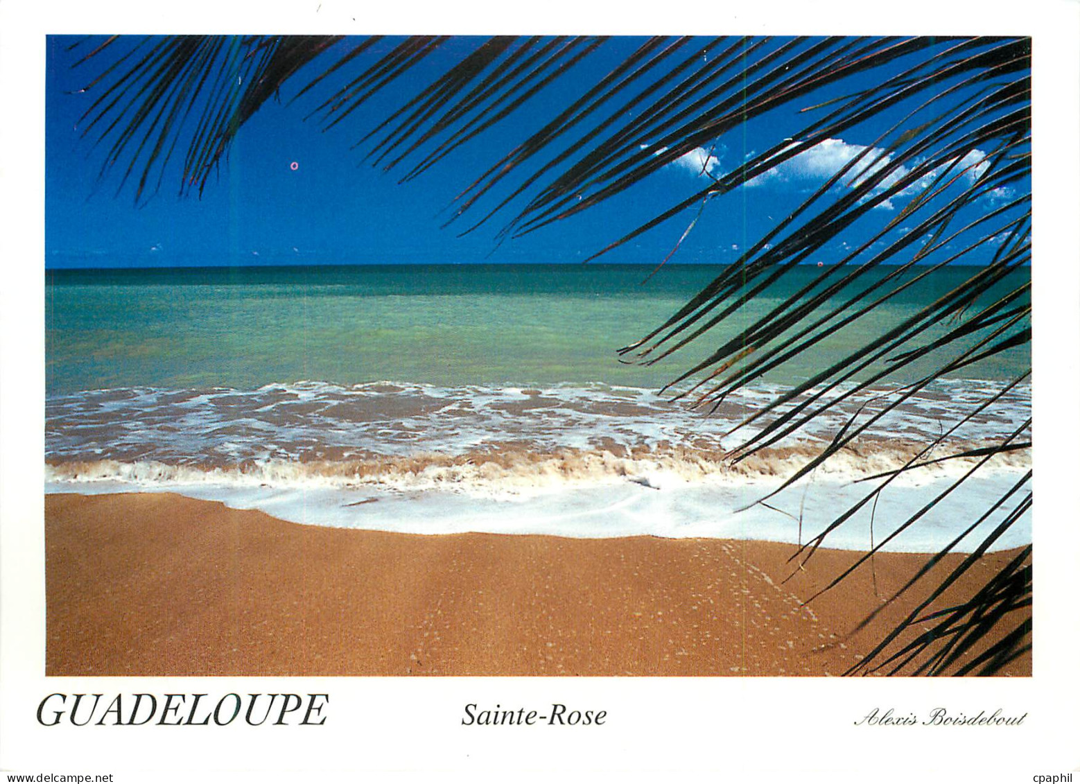 CPM Guadeloupe Sainte Rose La Guadeloupe La Plage des Amandiers