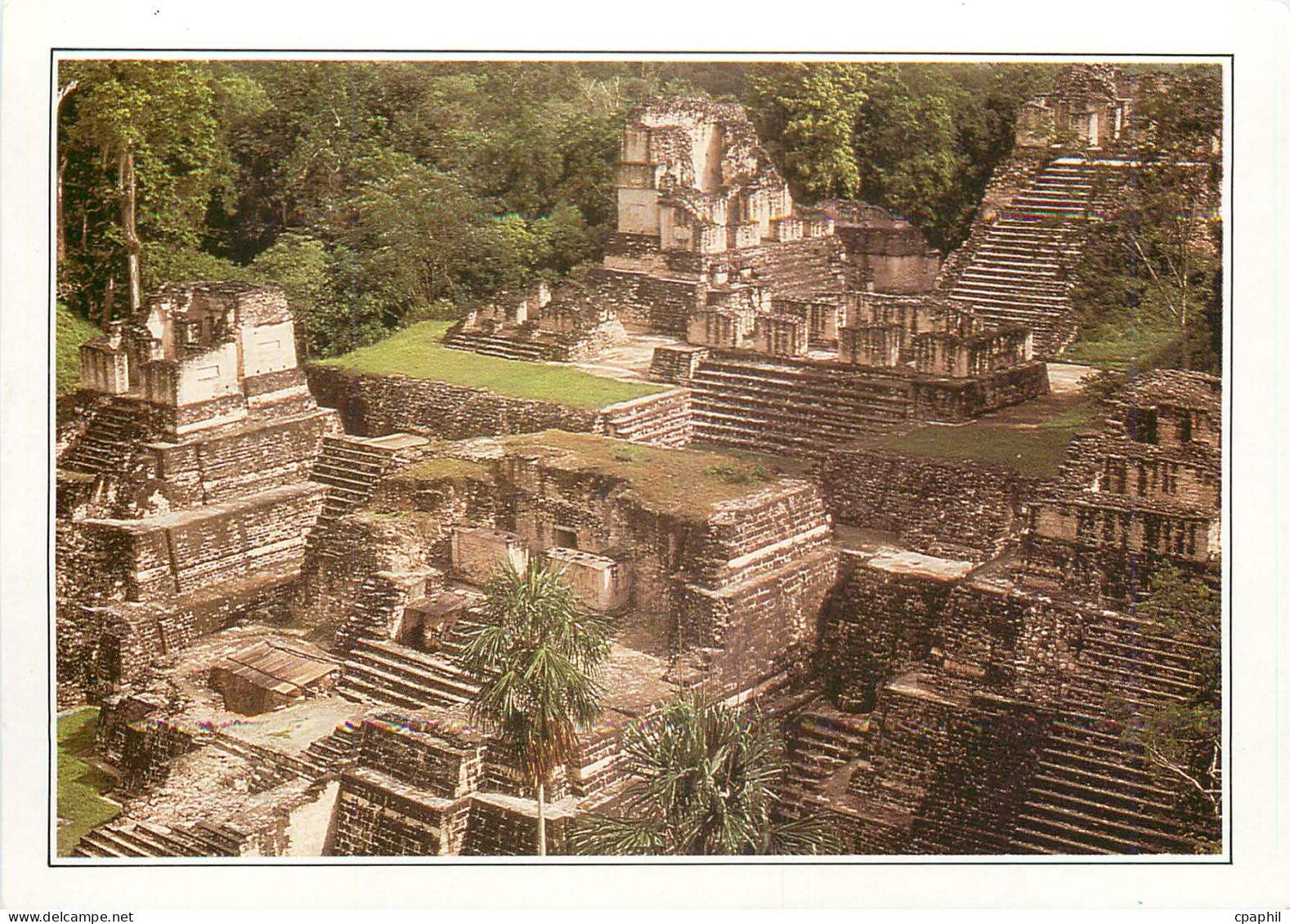 CPM Guatemala Tikal l'Ancienne metropole maya