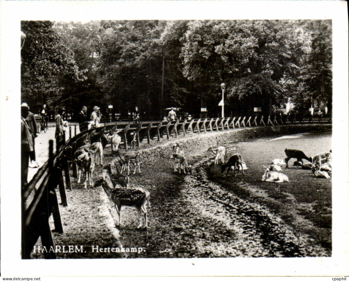 CPM Haarlem Hertenkamp
