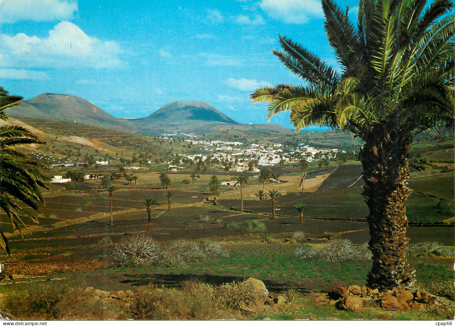 CPM Haria Lanzarote Vallee des Palmiers
