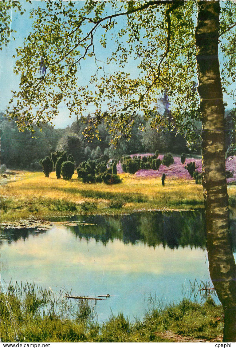 CPM Heide