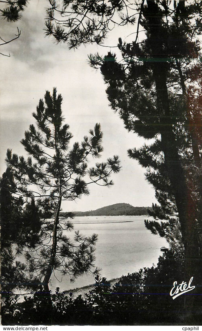 CPM Hossegor Vue sur le Lac