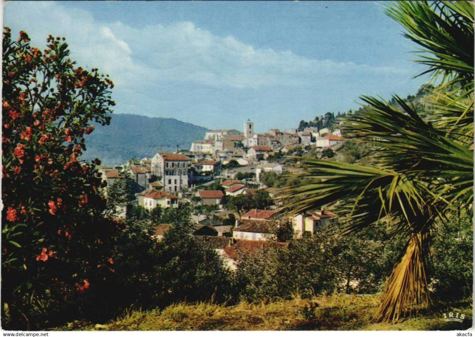 CPM HYERES HYERES-les-PALMIERS - Vue Generale (1116663)