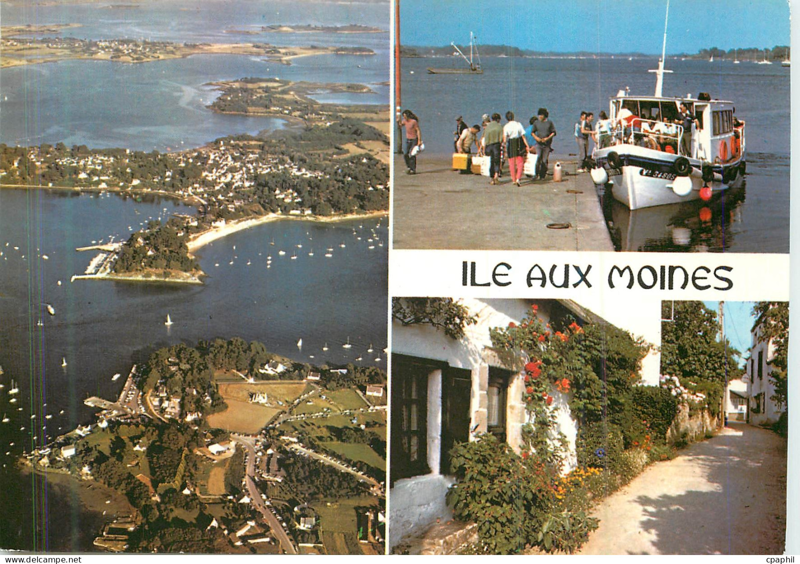 CPM Ile aux Moines (Morbihan) la Bretagne en Couleurs Bateau