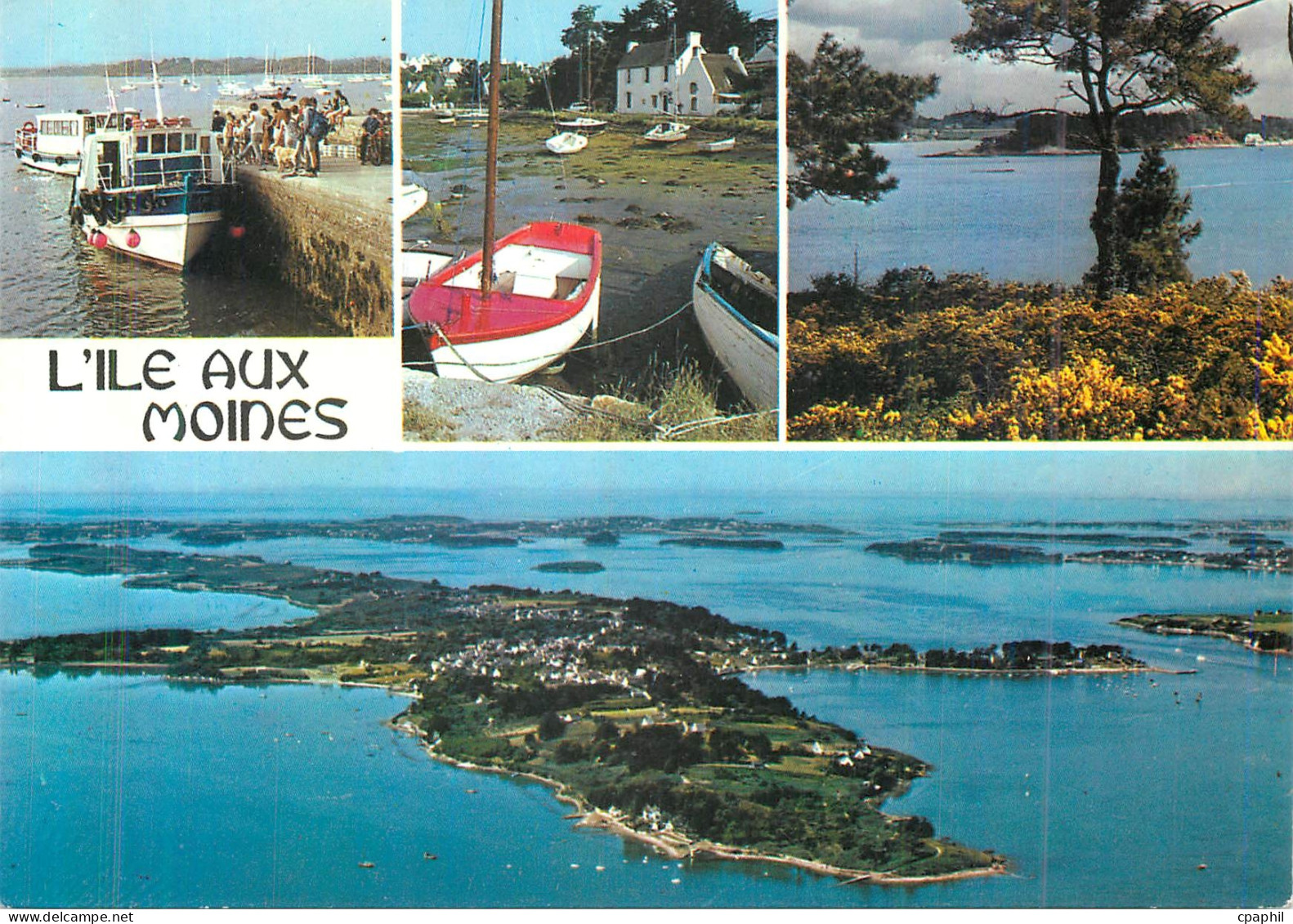 CPM Ile aux Moines (Morbihan) La Bretagne en Couleurs Le Debarcadere L'Arriere port La Pointe du Trech