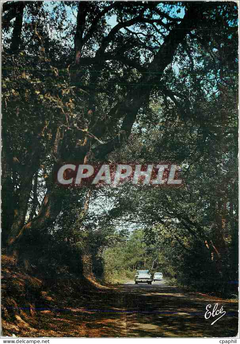 CPM Ile d'Oleron (Ch Mme)