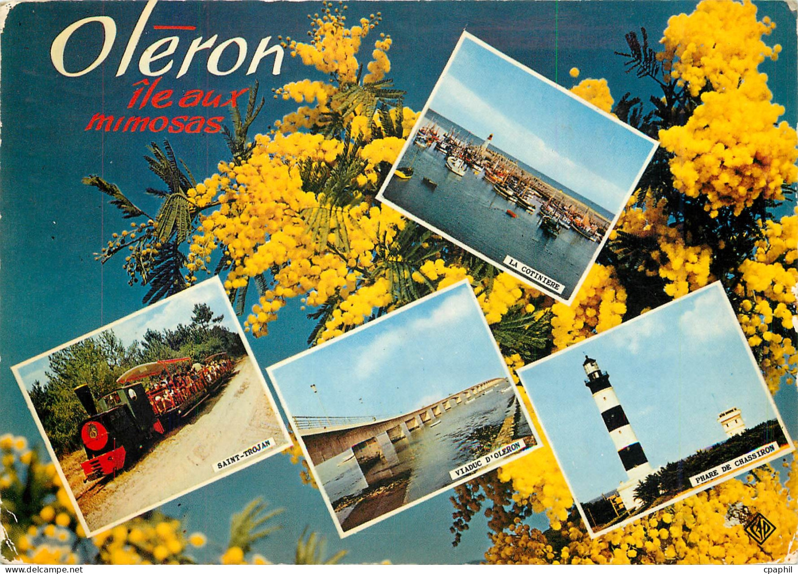 CPM Ile d'Oleron Train