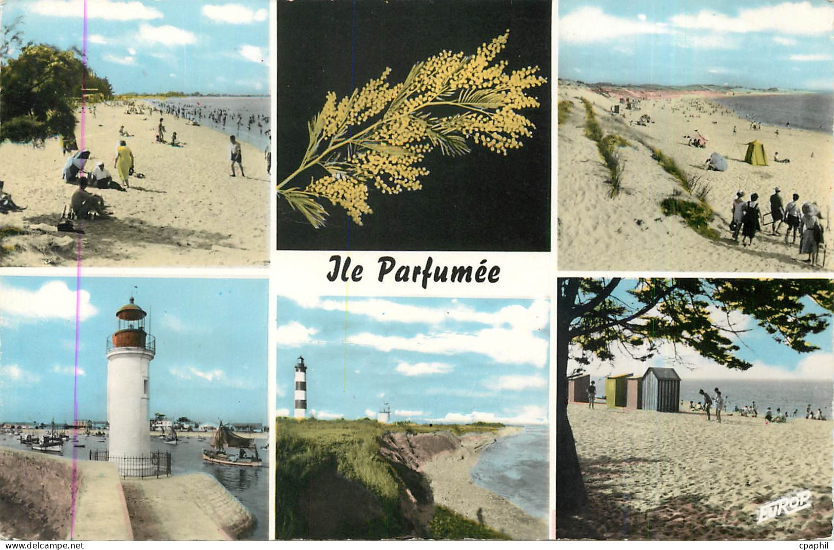 CPM Ile Parfumee Ile d'Oleron Ch Mme Phare
