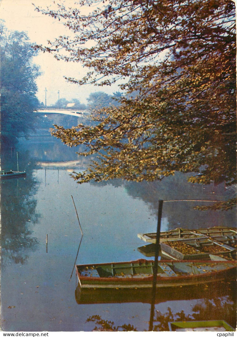 CPM Images de France Champigny La Marne