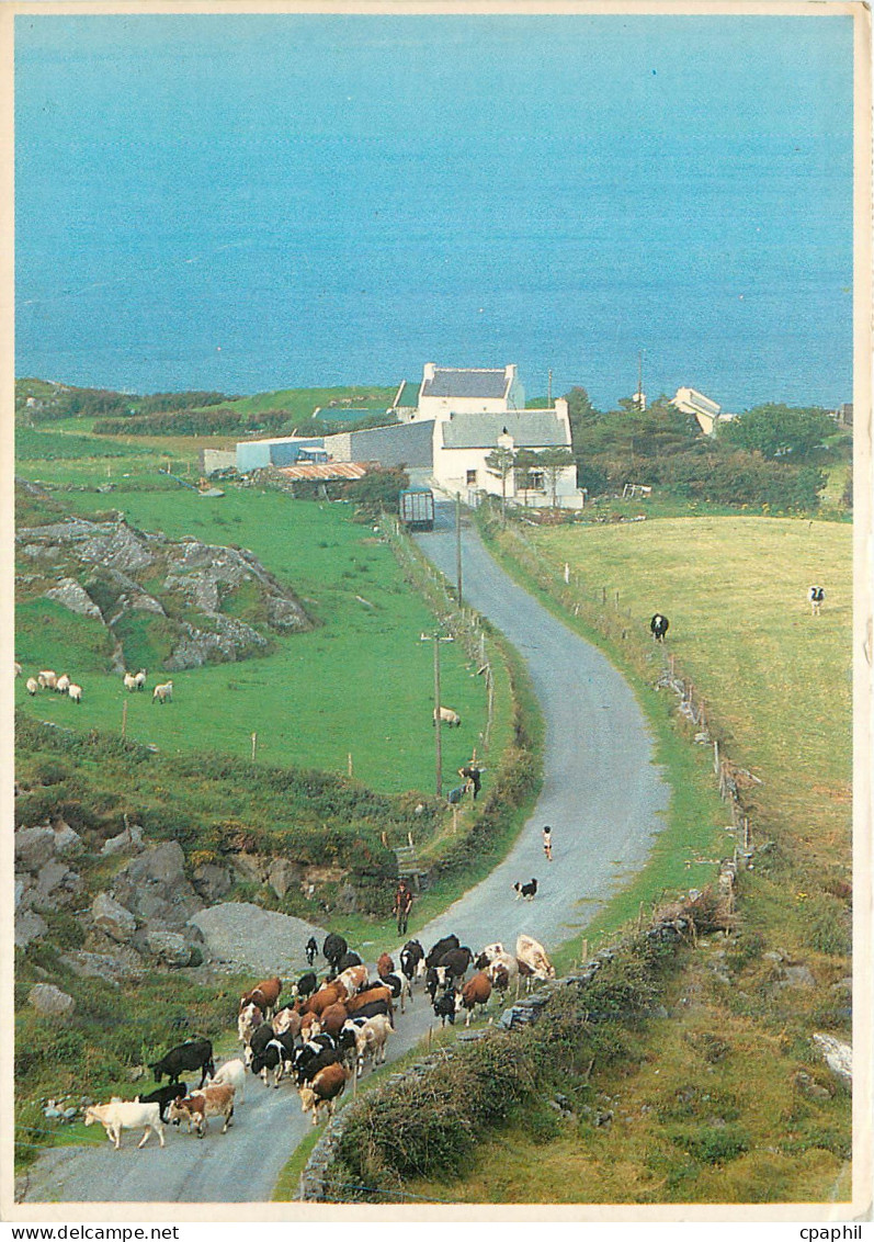 CPM Ireland On the road West Cork