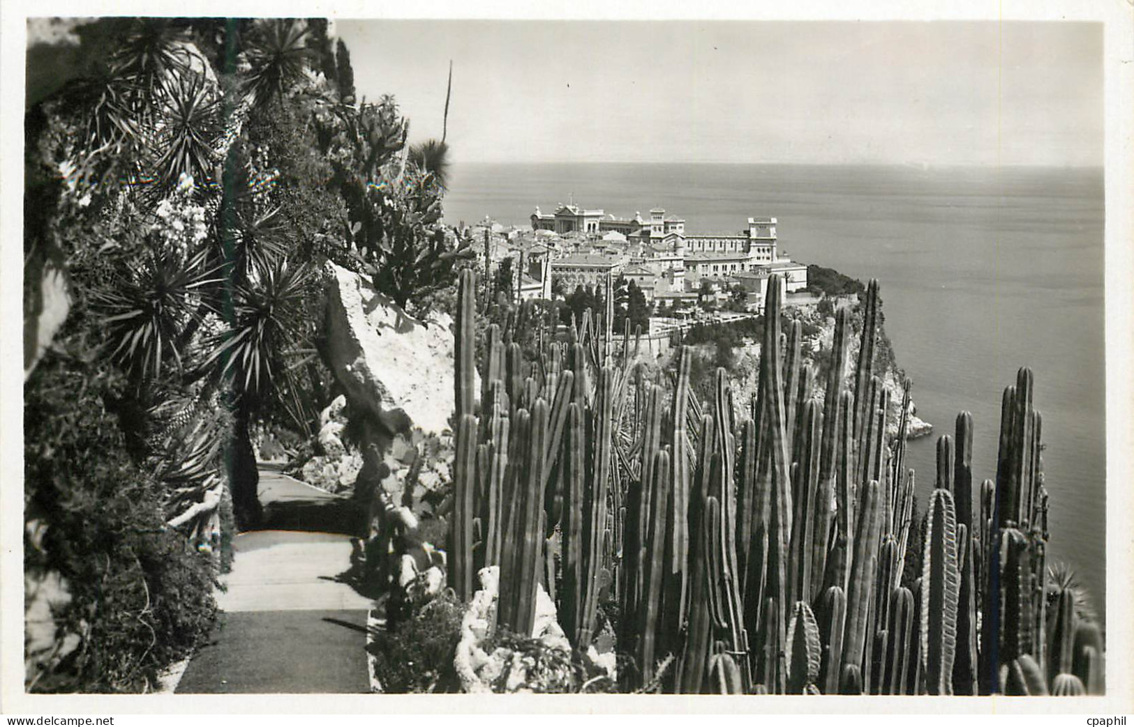 CPM Jardin exotique de Monaco vue sur Monaco Cereus marginatus et divers opuntias Yuccas et Euphorbes divers