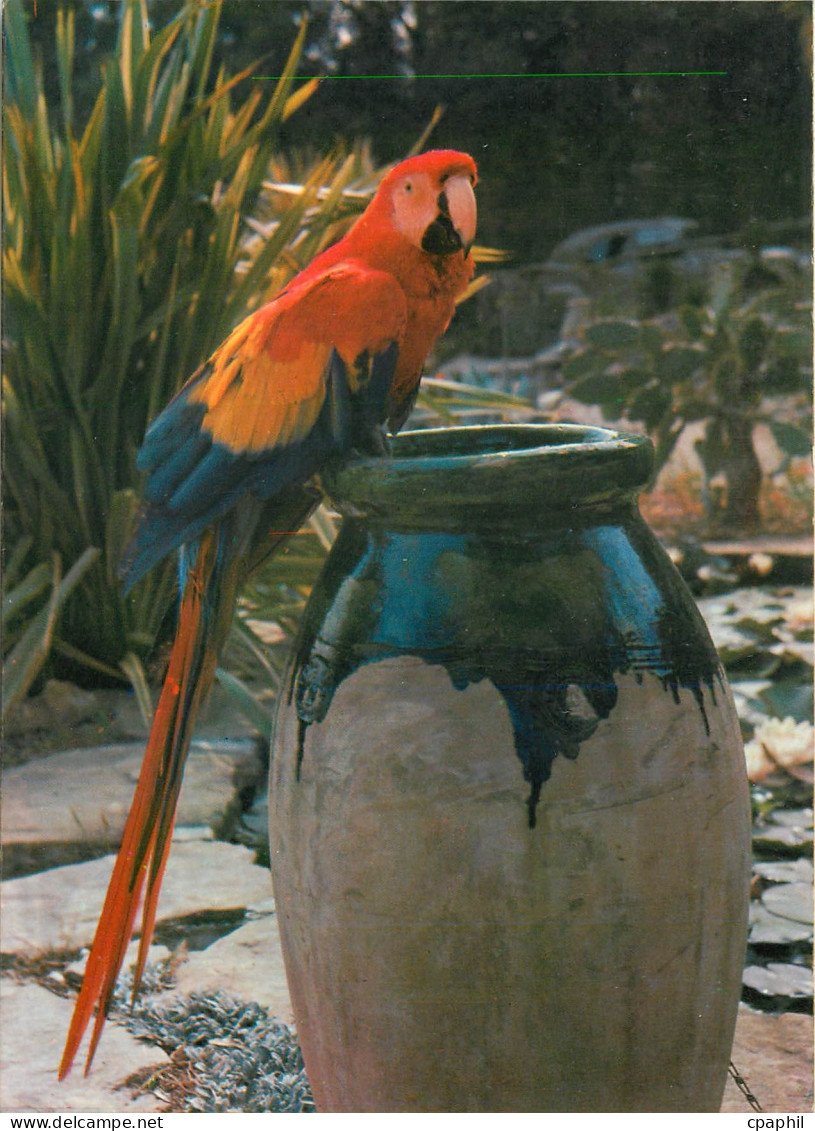 CPM Jardin Exotique Zoo Sanary Bandol Ara Macao (Bresil)