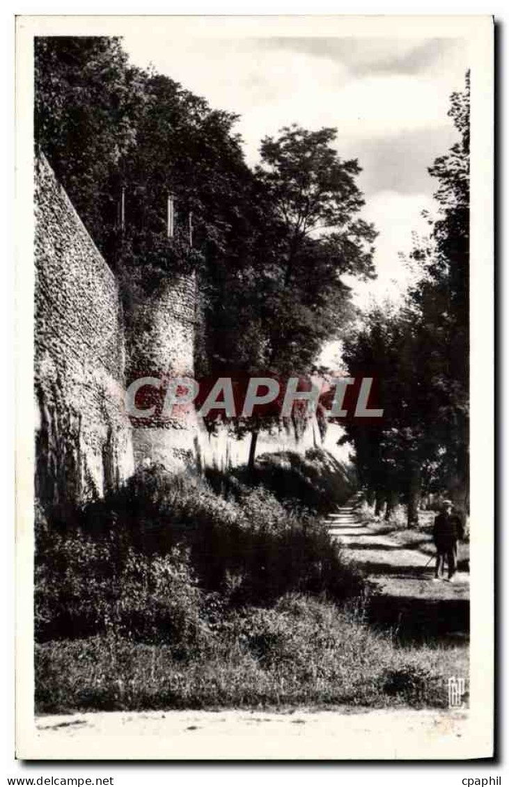 CPM Joigny la Guimbarde