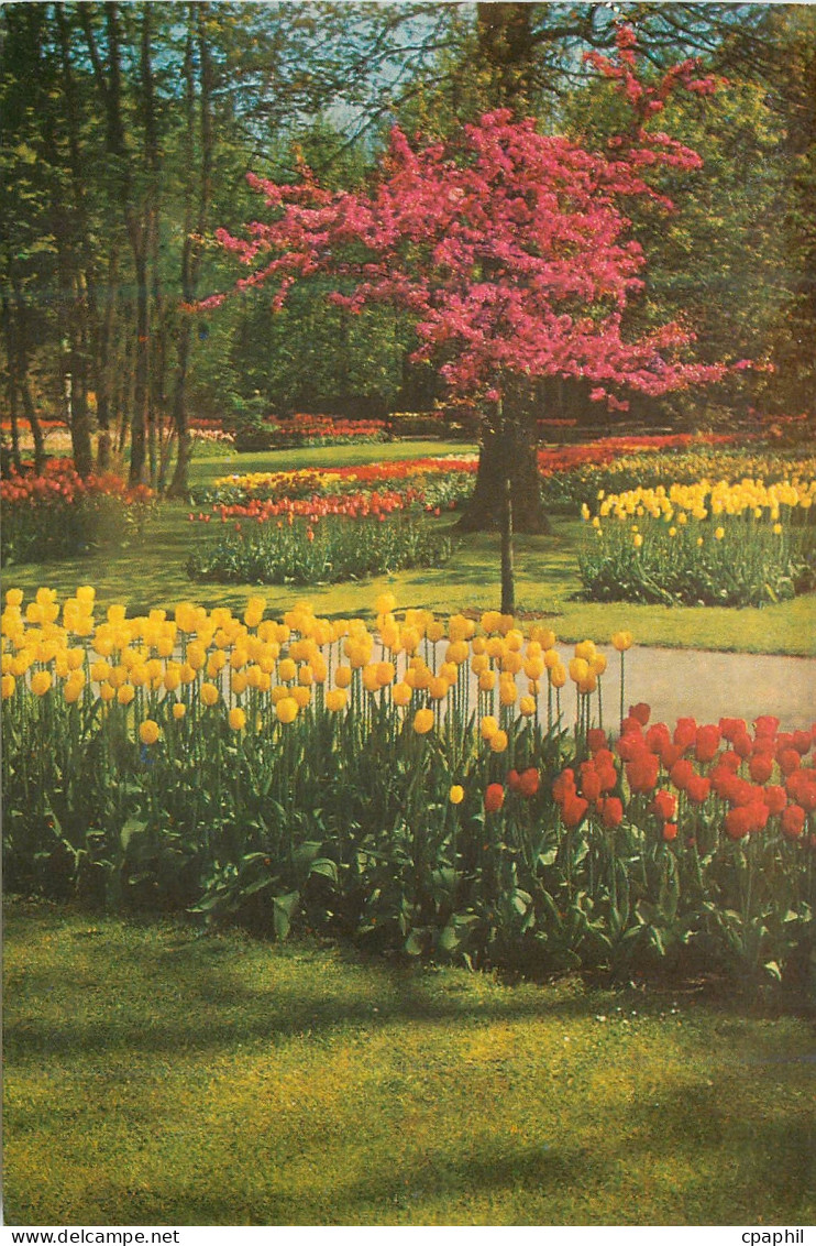 CPM Keukenhof Lisse Holland