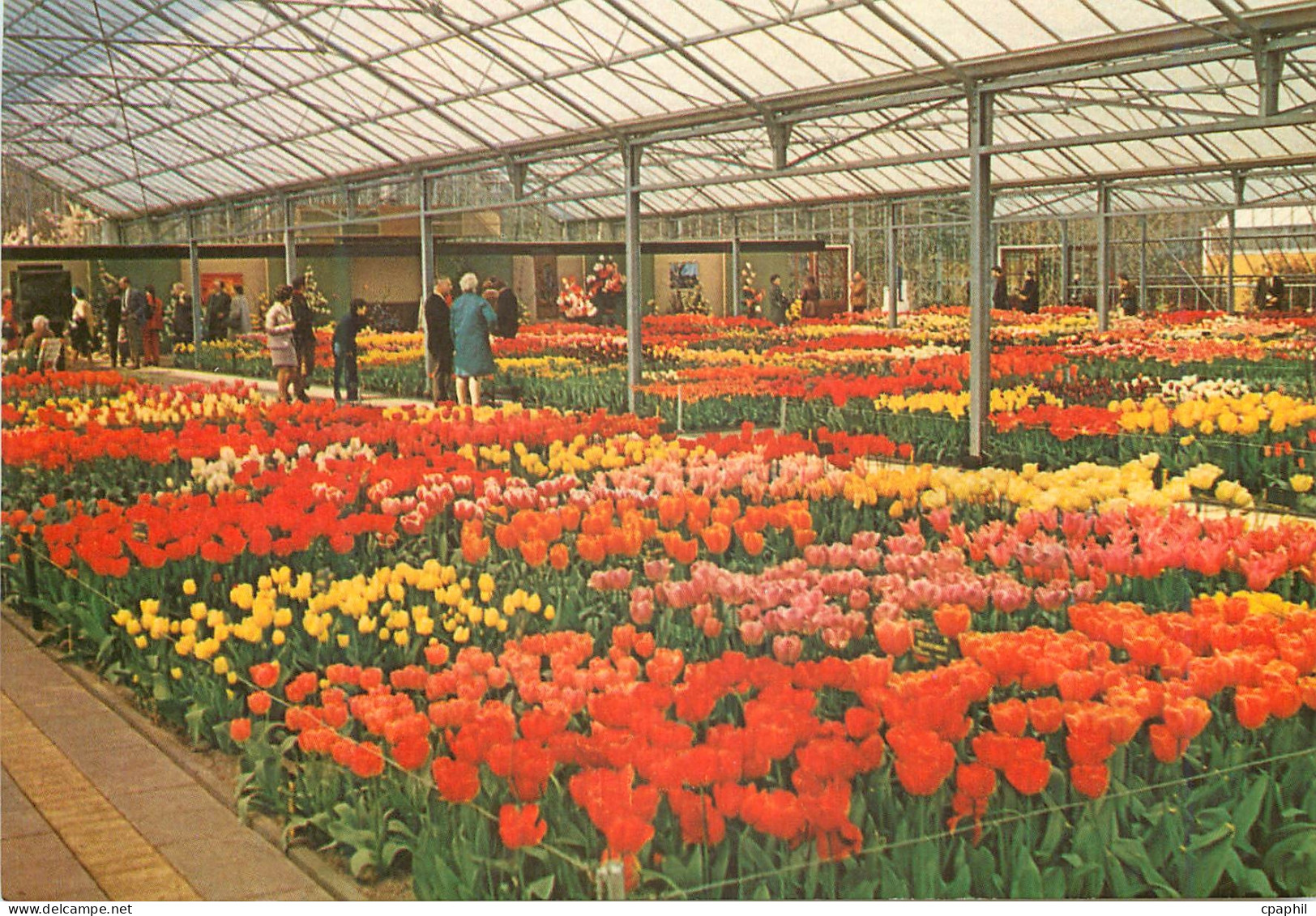CPM Keukenhof Lisse Holland