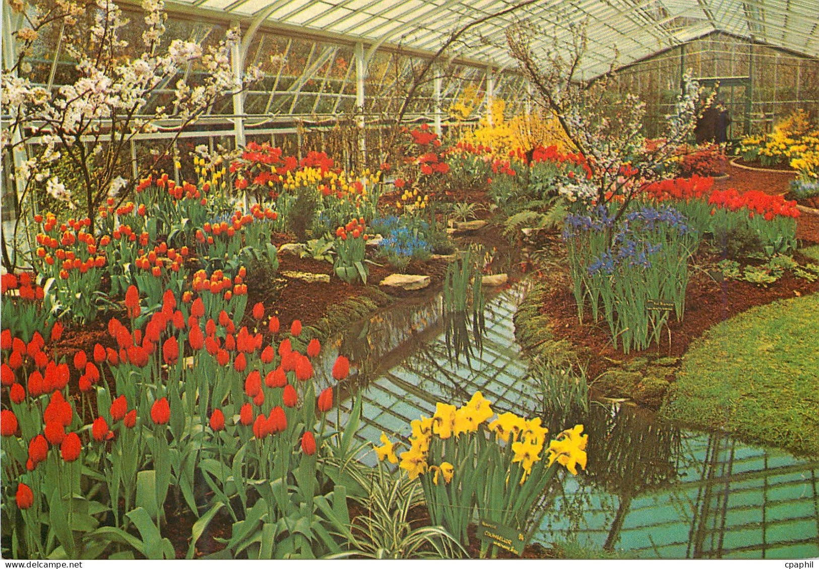 CPM Keukenhof Lisse Holland