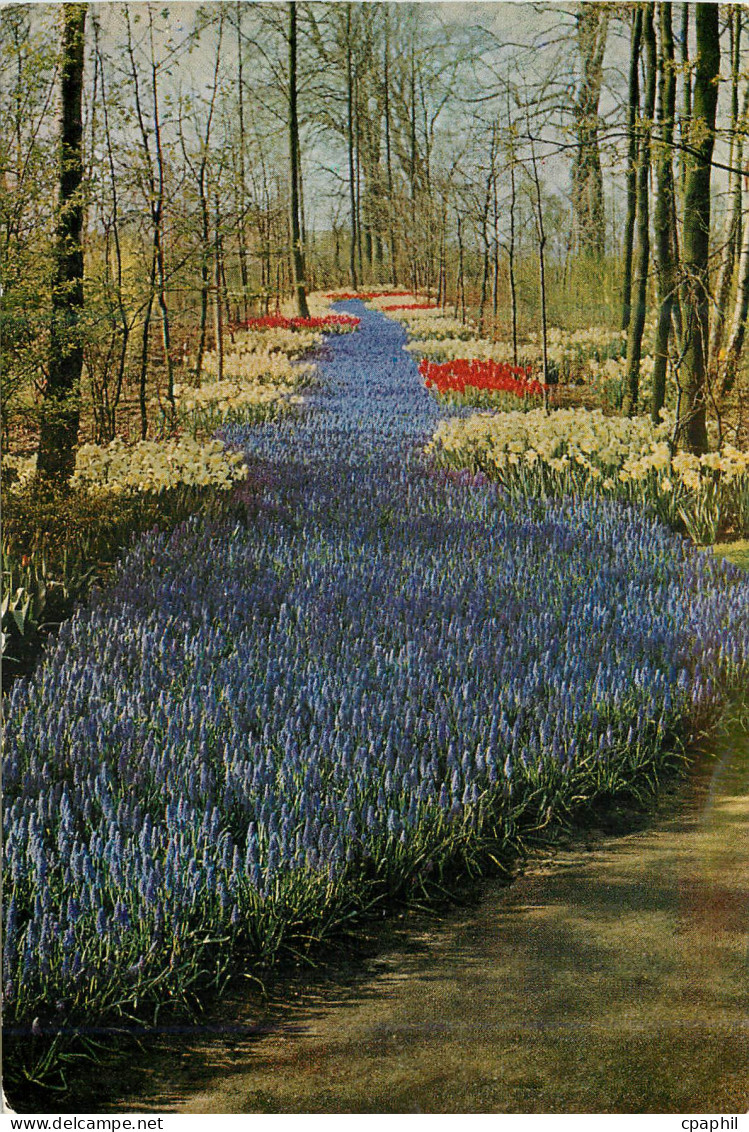 CPM Keukenhof Lisse Holland