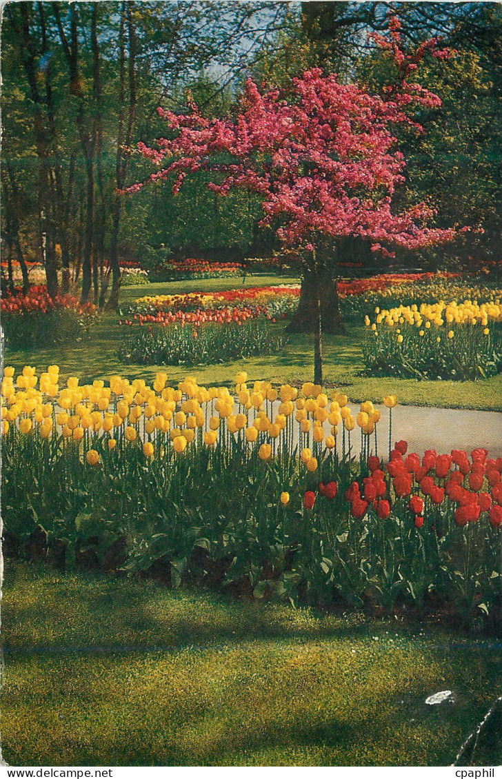 CPM Keukenhof Lisse Holland