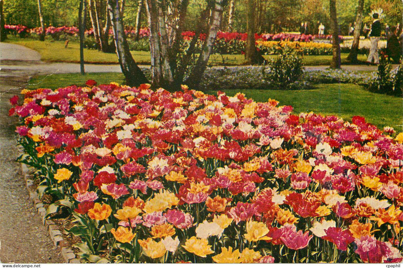 CPM Keukenhof Lisse Holland
