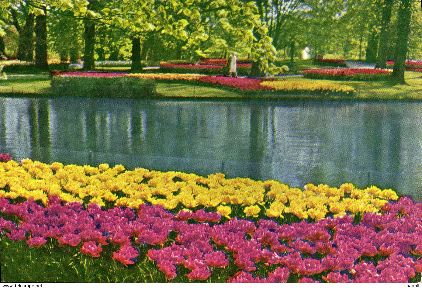 CPM Keukenhof Lisse Holland
