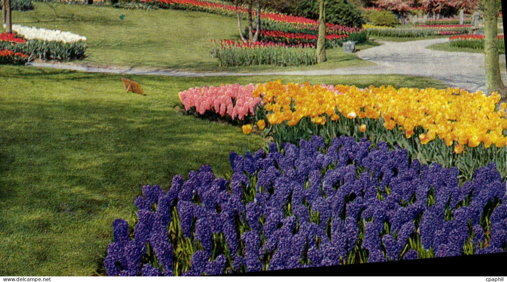 CPM Keukenhof Lisse Holland