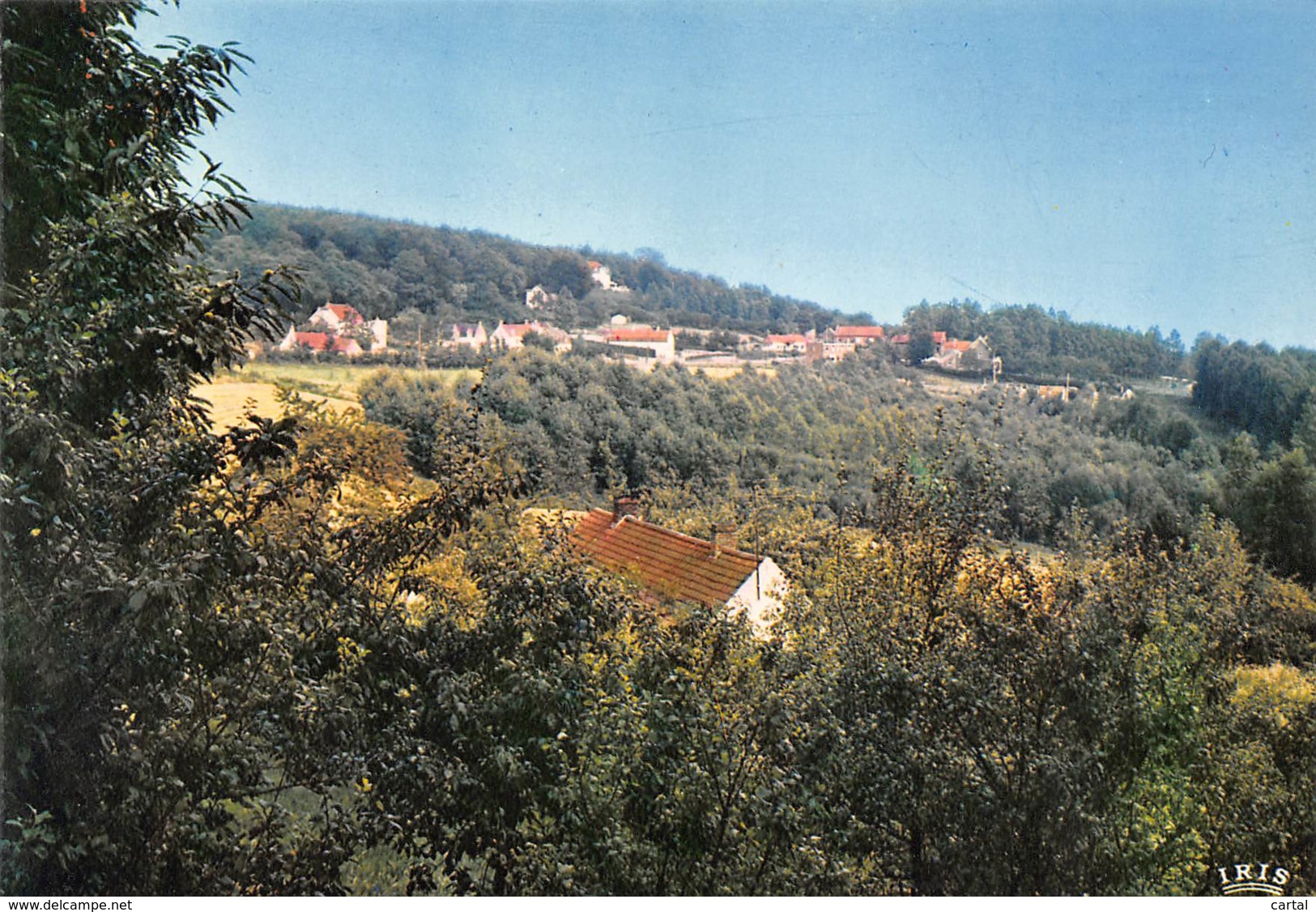 CPM - KLUISBERG - MONT de l'ENCLUS - Panorama