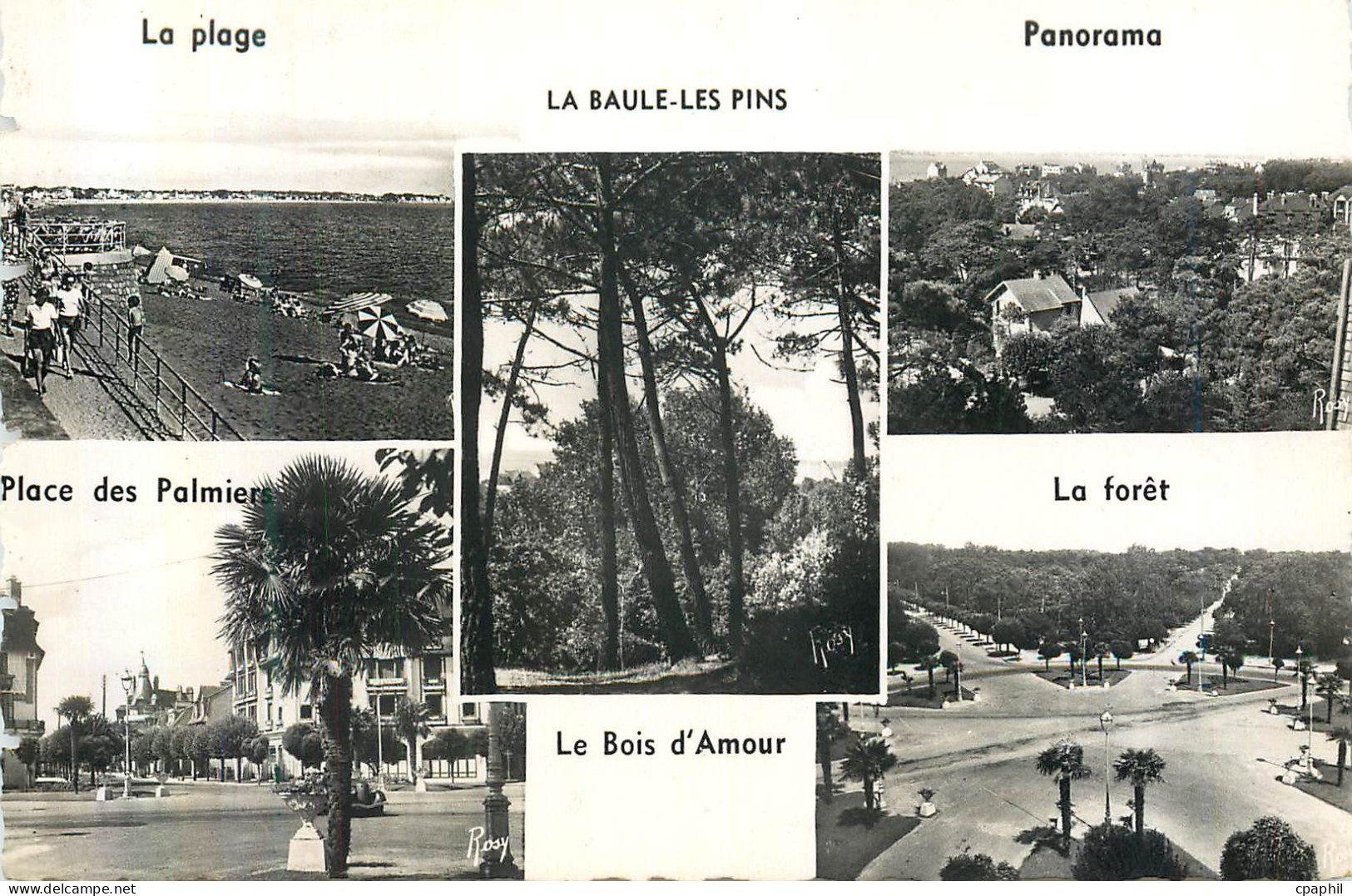 CPM La Baule les Pins La Plage Panorama La foret