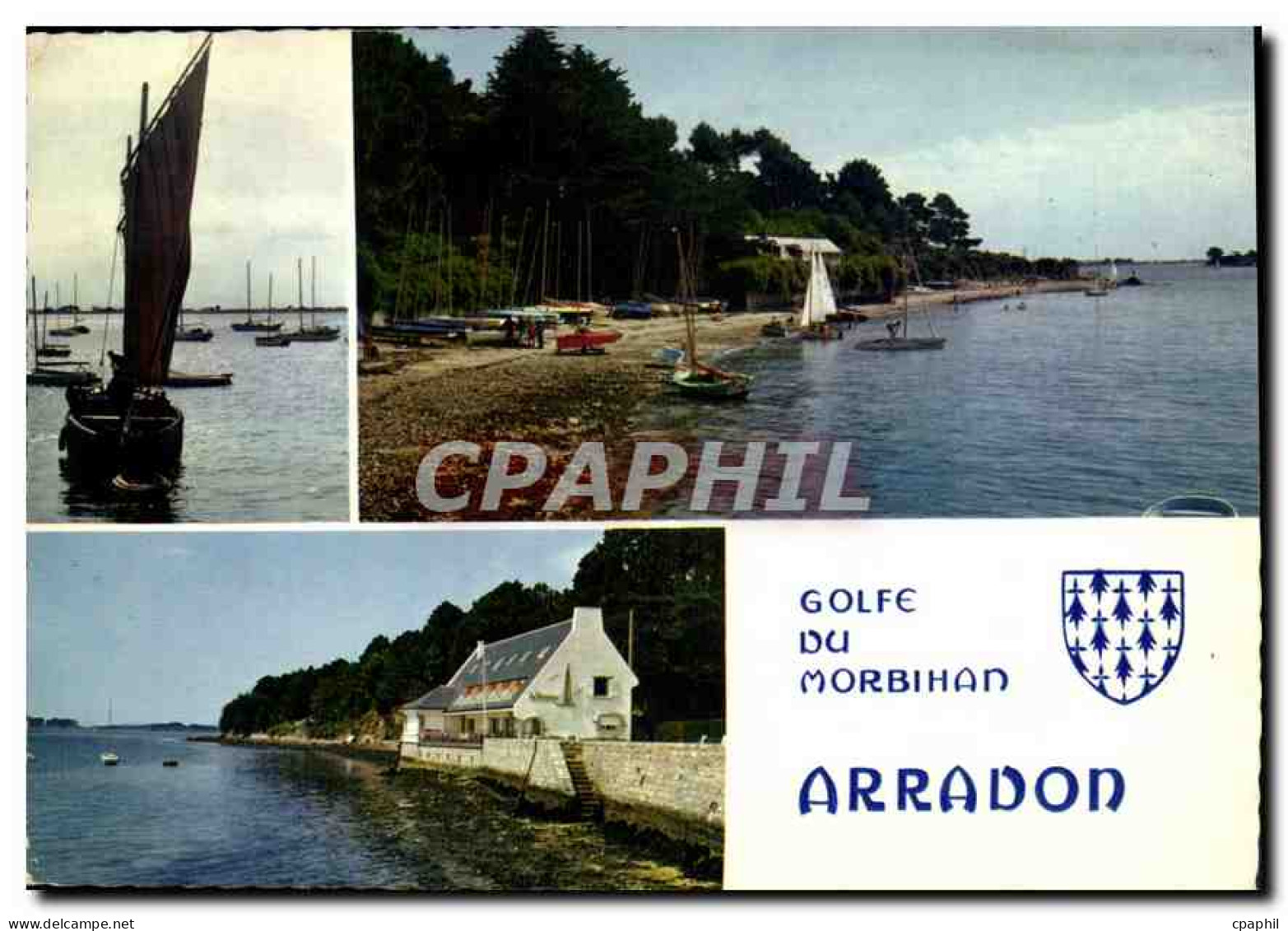 CPM La Bretagne en Couleurs Arradon Morbihan la plage et le centre nautique un sinago et le restaura