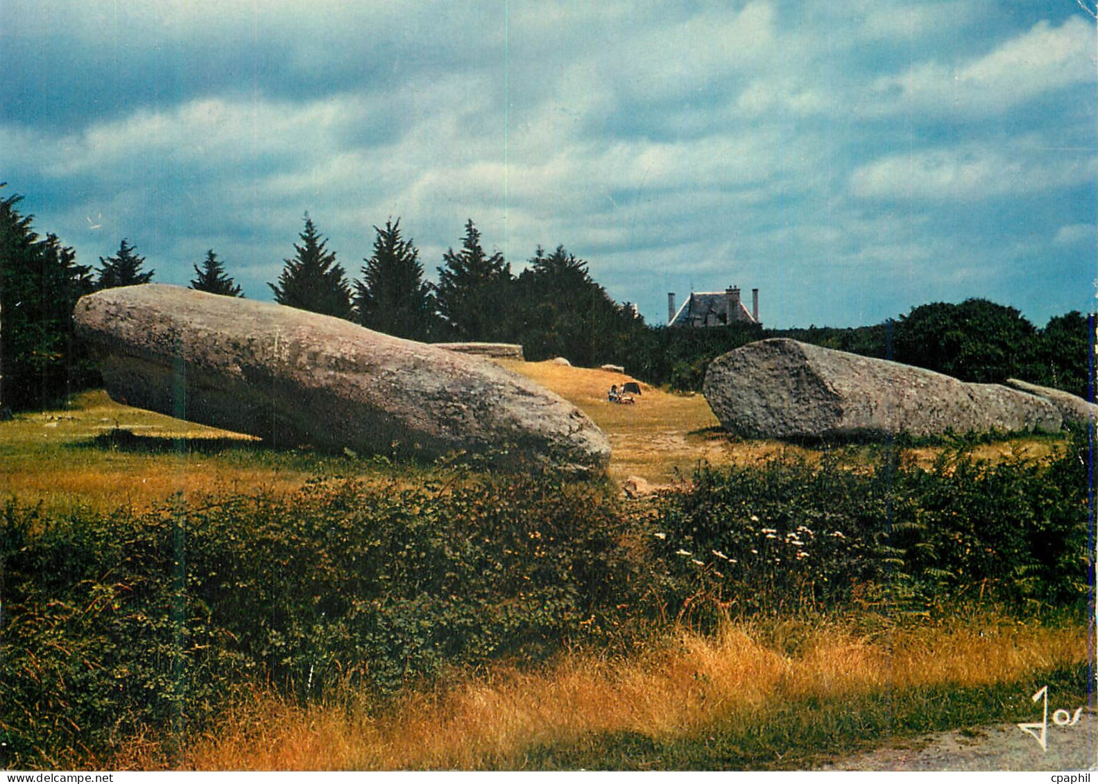 CPM La Bretagne en Couleurs Locmariaquer Le Menhir Brise en 5 Morceaux