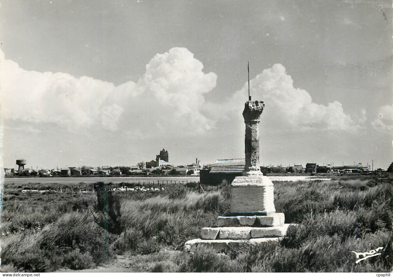 CPM La Camargue Saintes Maries de la Mer Croix des Felibres et Vue Generale