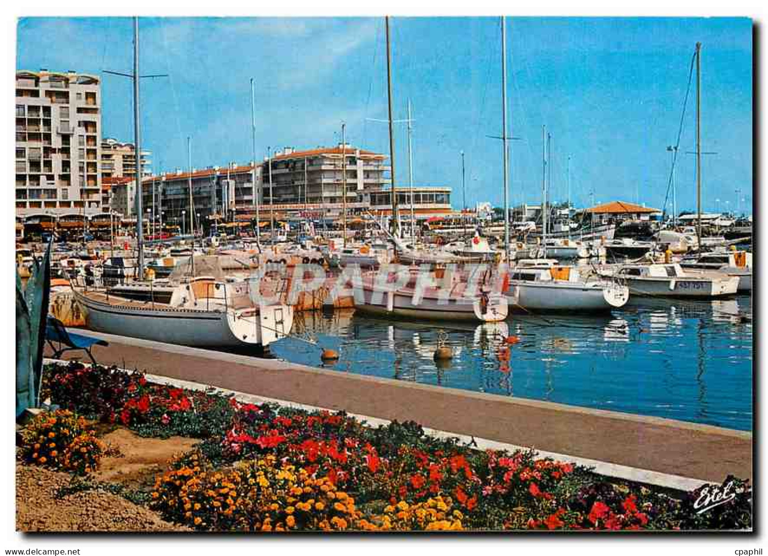 CPM La Cote Catalane Saint Cyprien Plage Pyrenees Orientales Le port de plaisance
