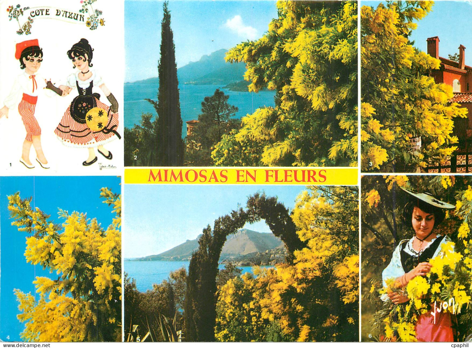 CPM La Cote d'Azur Alpes Maritimes