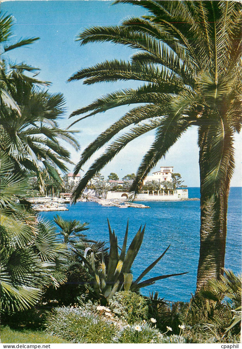 CPM La Cote d'Azur Beaulieu sur Mer La Baie des Fourmis