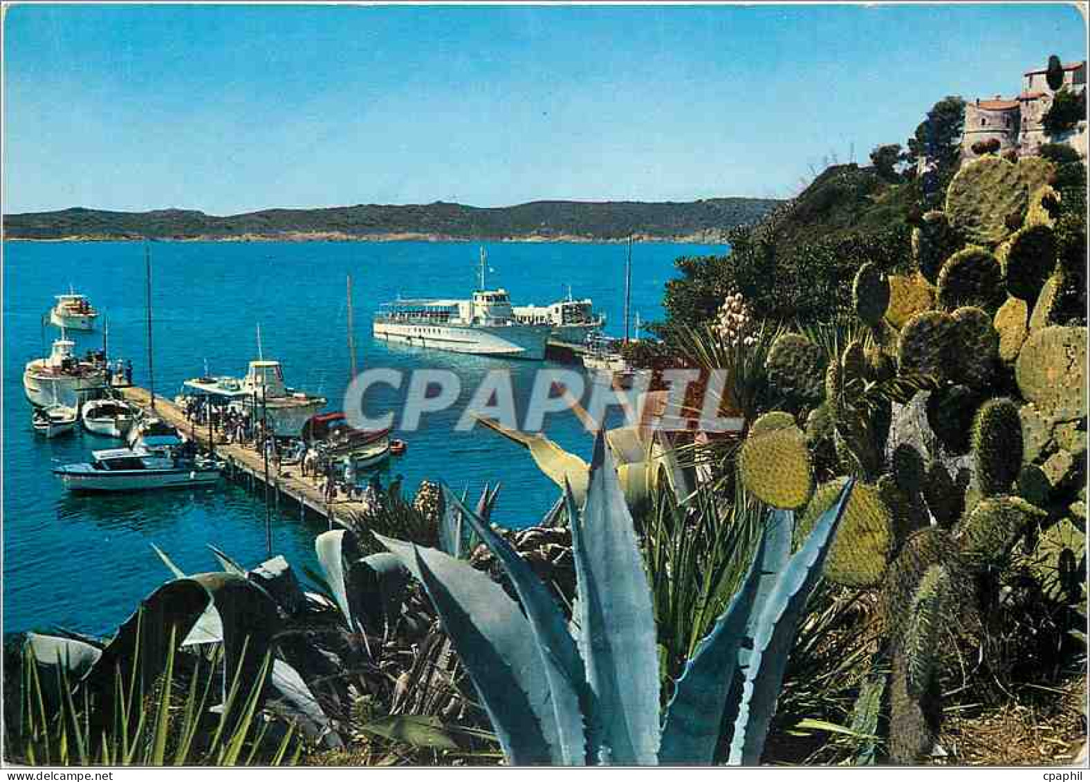 CPM La Cote d'Azur Ile de Port Cros Var Bateaux