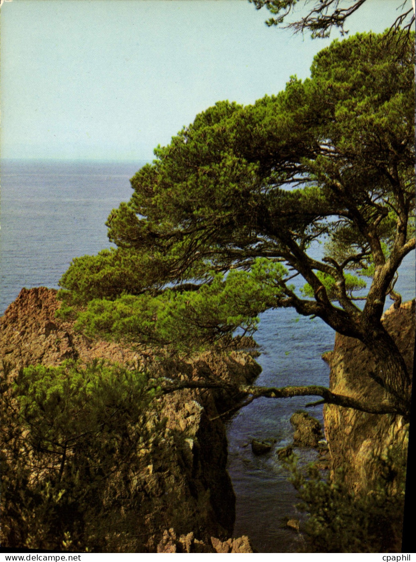 CPM La Cote d'Azur inoubliable La Corniche d'Or Calanques