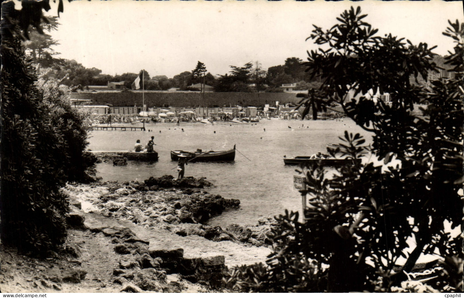 CPM La Cote d'Azur Le Cap Antibes La Garoupe