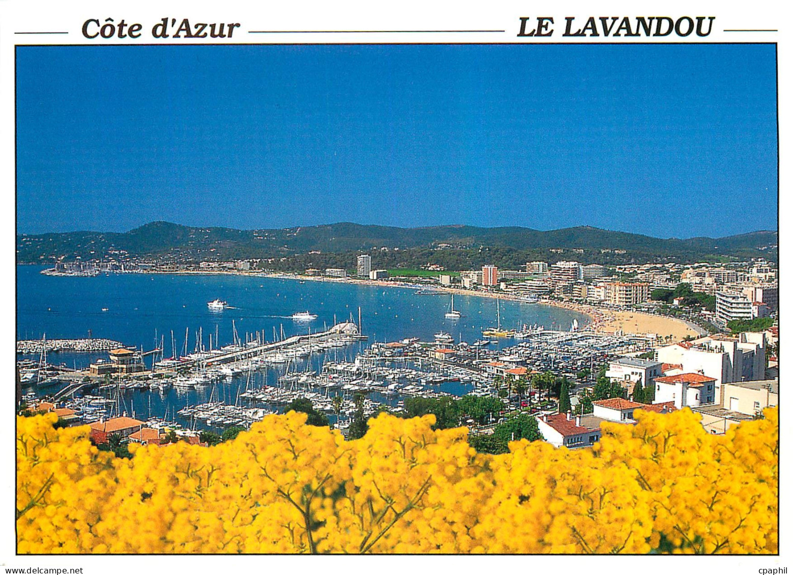CPM La Cote d'Azur Le Lavandou Var