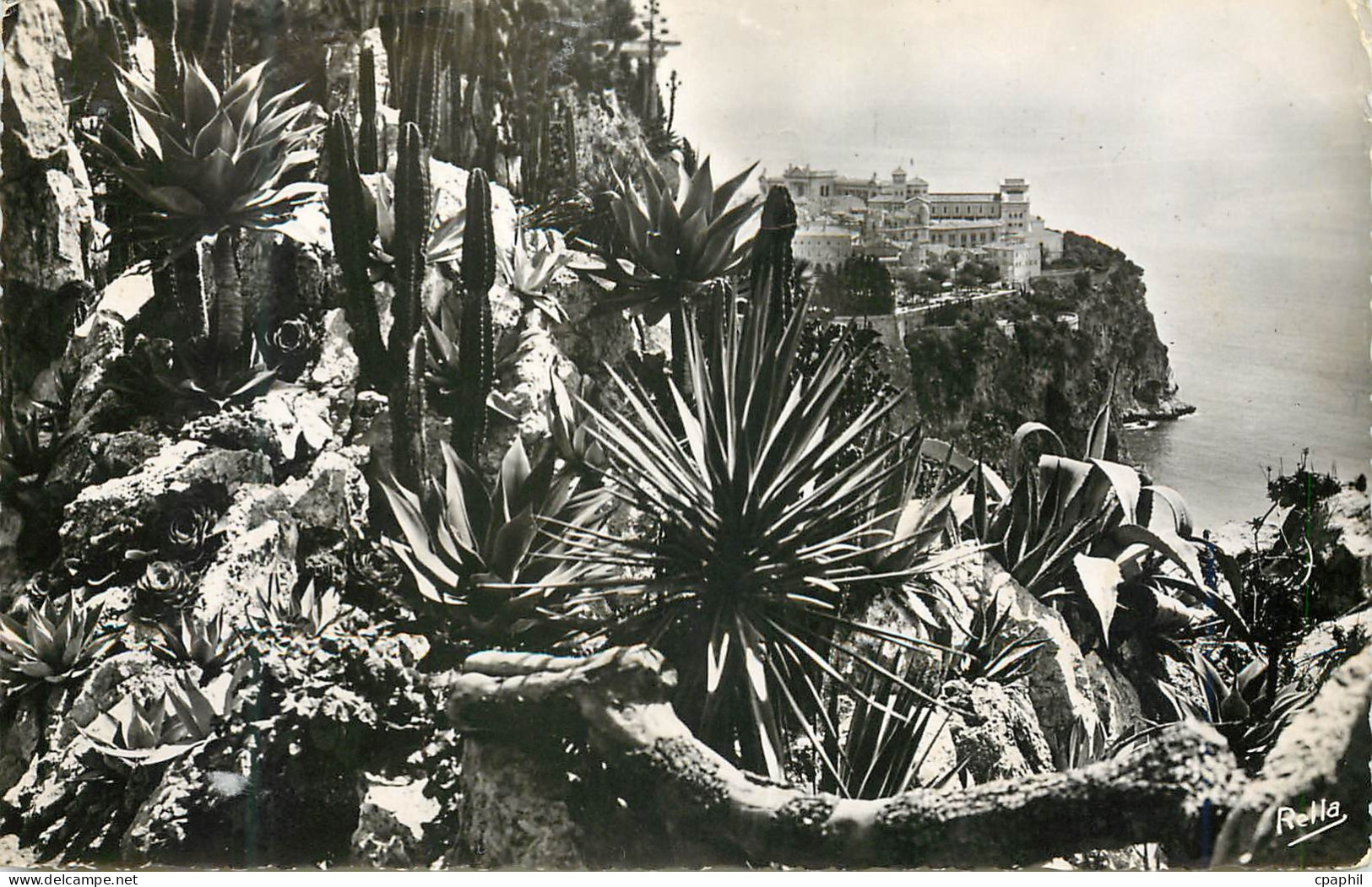 CPM La Cote d Azur Le rocher de Monaco vu du Jardin exotique
