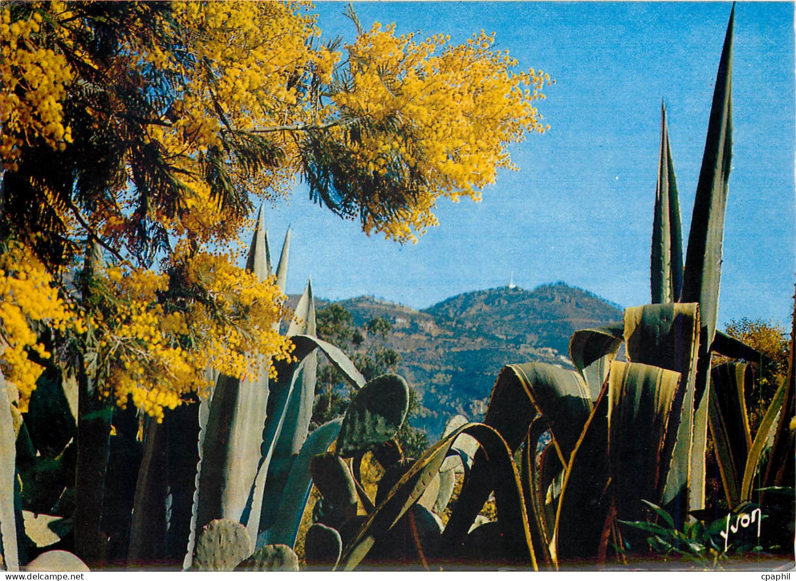 CPM La Cote d'Azur miracle de la nature Vegetation mediterraneenne dans les Jardins