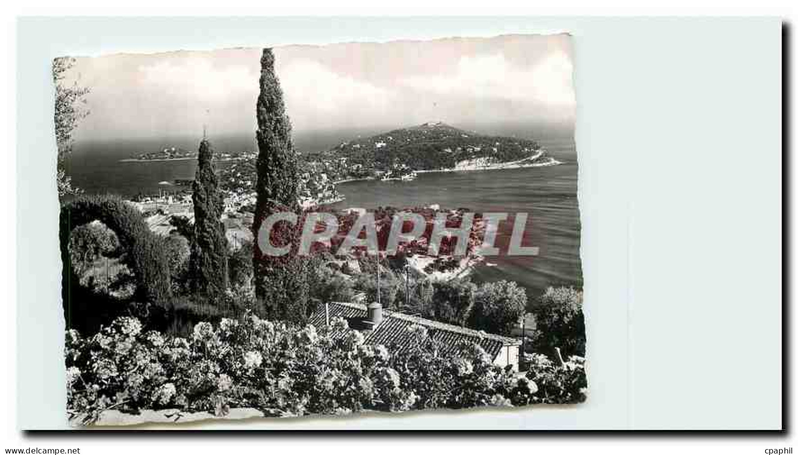 CPM La Cote d'Azur Saint Jean Cap Ferrat Alpes Maritimes
