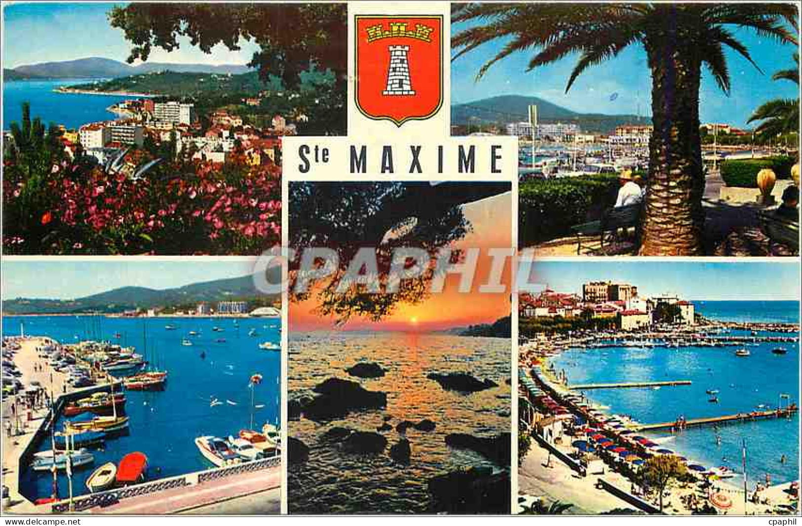CPM La Cote d'Azur Sainte Maxime sur Mer (Var) Vue generale la Place des Palmiers