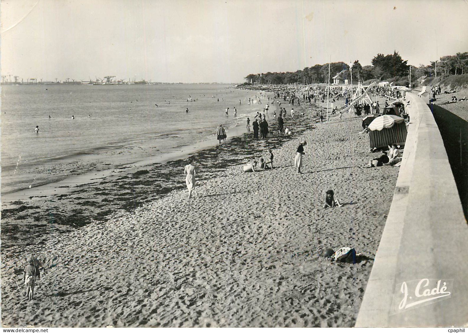 CPM La Cote de Jade Saint Brevin les Pins La Plage et sa Jetee