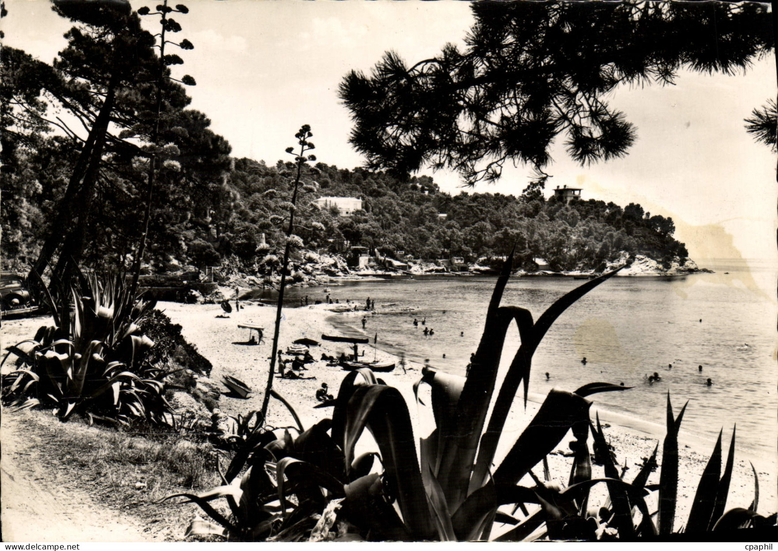 CPM La Cote Des Maures Le Canadel La Plage