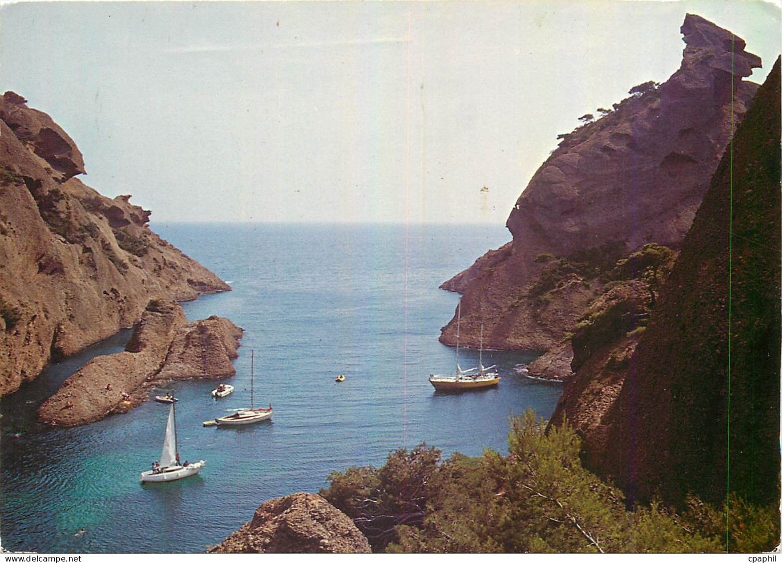 CPM La Cote Provencale La Ciotat