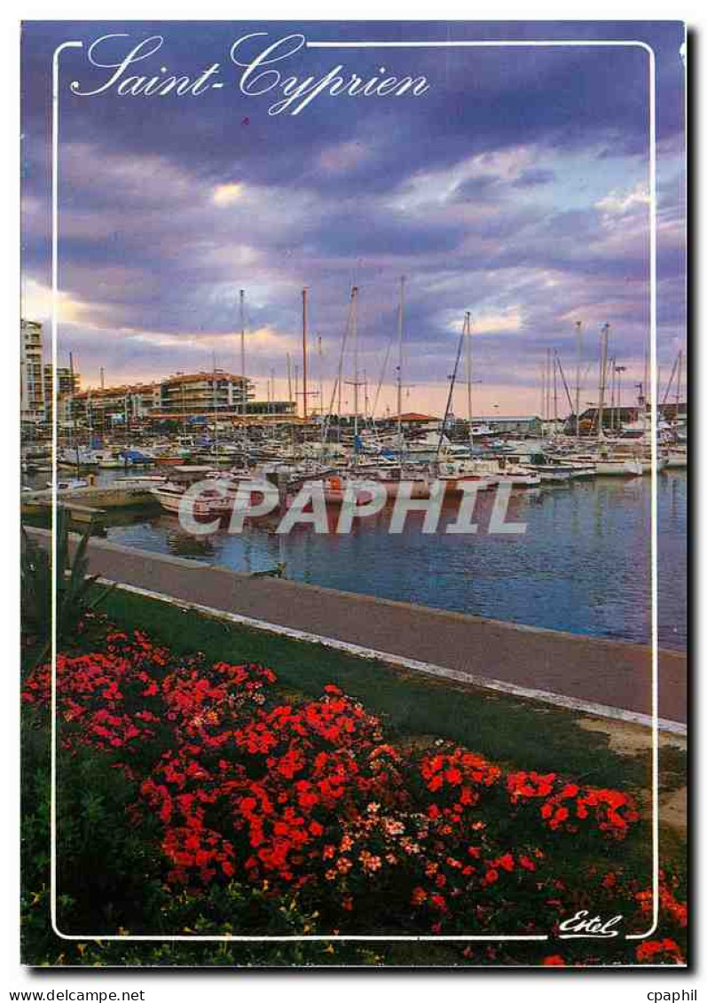 CPM La Cote Vermeille Saint Cyprien Plage Pyrenees Orientales Le port de plaisance
