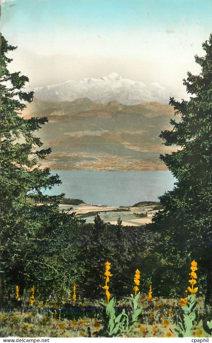 CPM La franche comte pittoresque 3222bis le lac leman et le mont blanc vus du col de la faucille