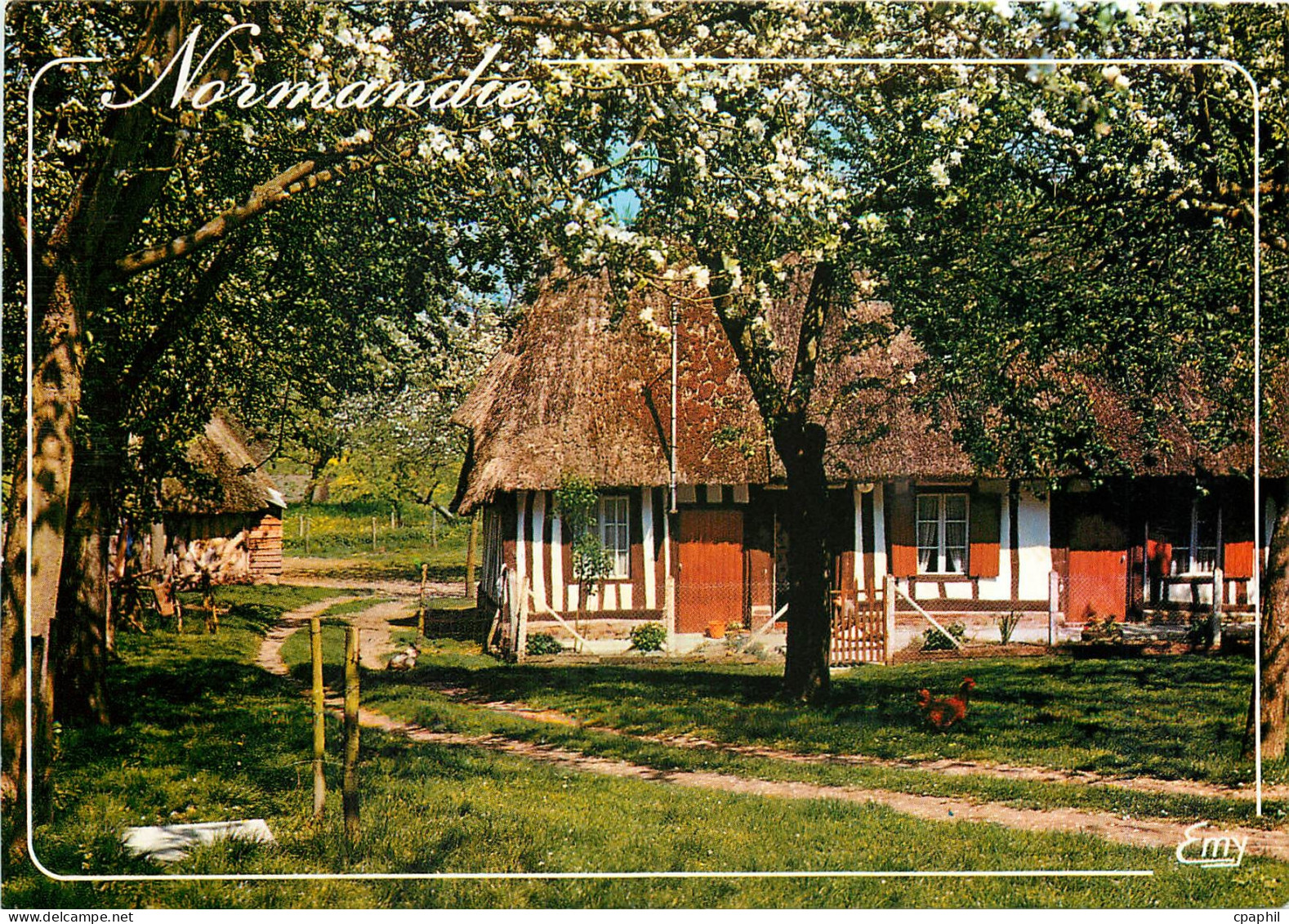 CPM La Normandie Pittoresque Chaumiere normande au printemps