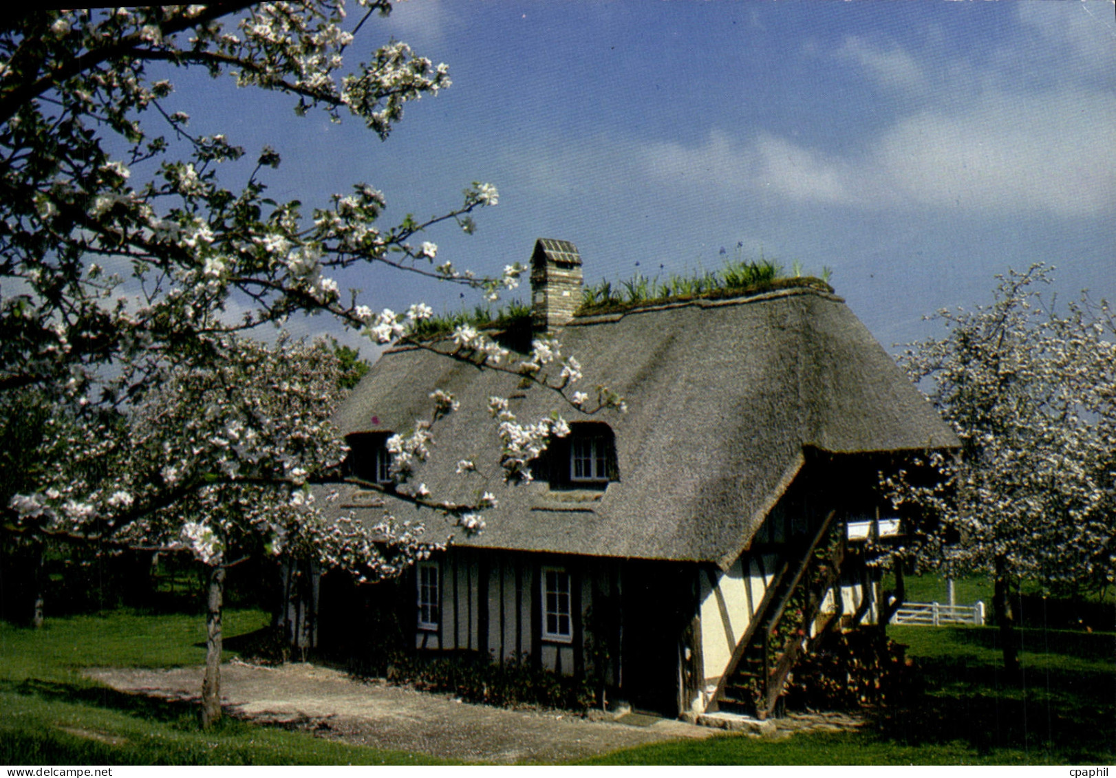 CPM La Normandie Pittoresque Cote fleurie Maison typique du marais Vernier