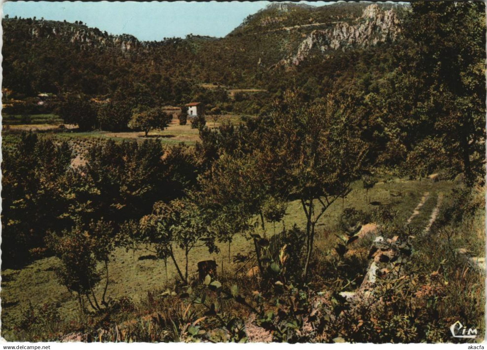 CPM LA ROQUEBRUSSANNE Le Clos et la Vallee des Baumes (1113546)